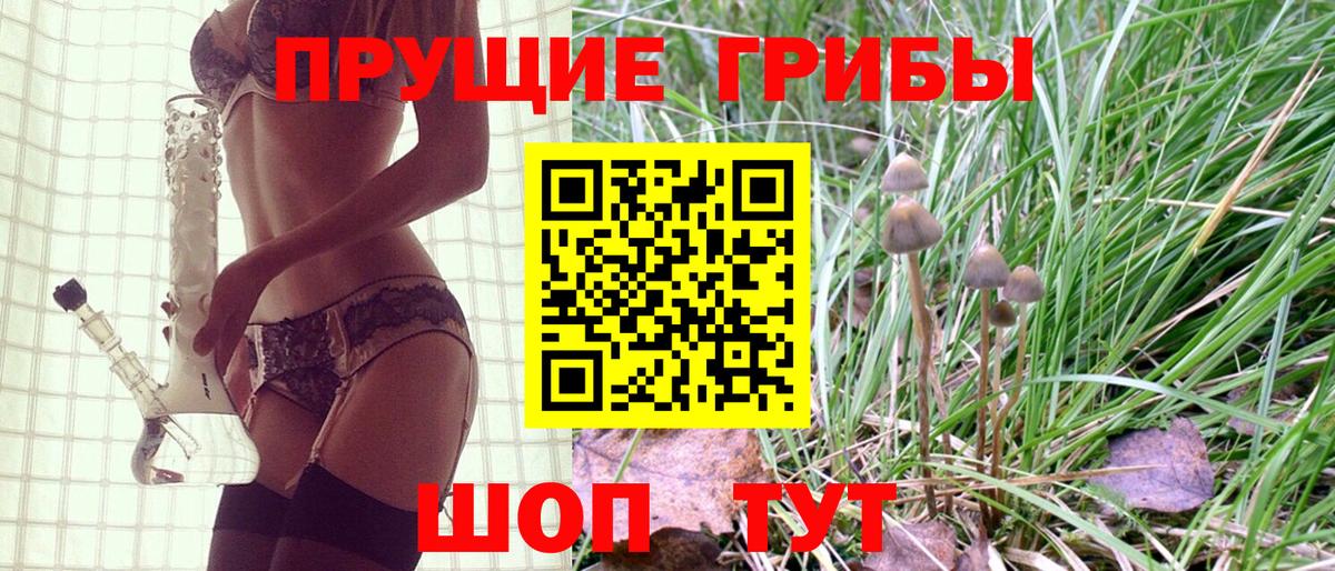 Псилоцибиновые грибы мицелий Нерюнгри