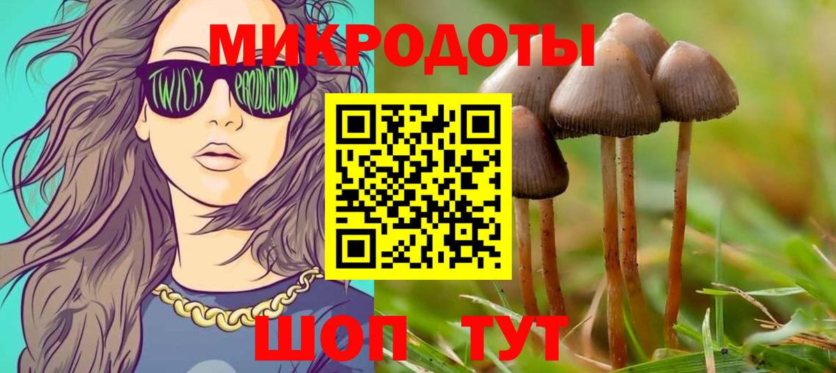 Галлюциногенные грибы Psilocybe  купить наркотик  Псилоцибиновые грибы мицелий  Нерюнгри  Вход с VPN 